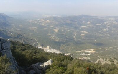 Descansar en lo mío