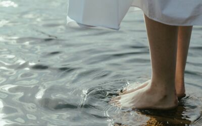 Siento, luego existo