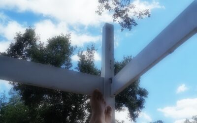 El gran teatro del mundo