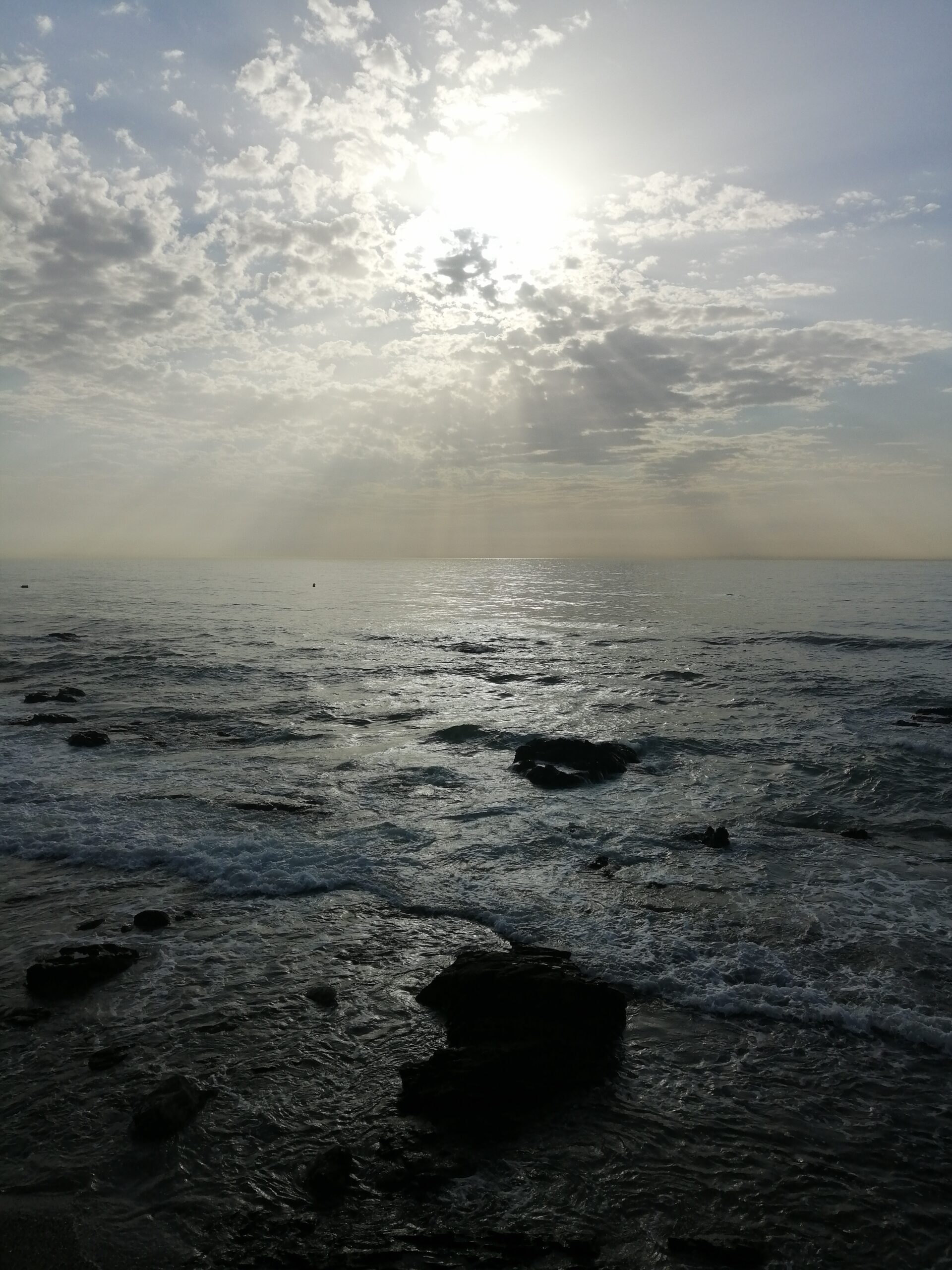 IMG_20220920_093739-1