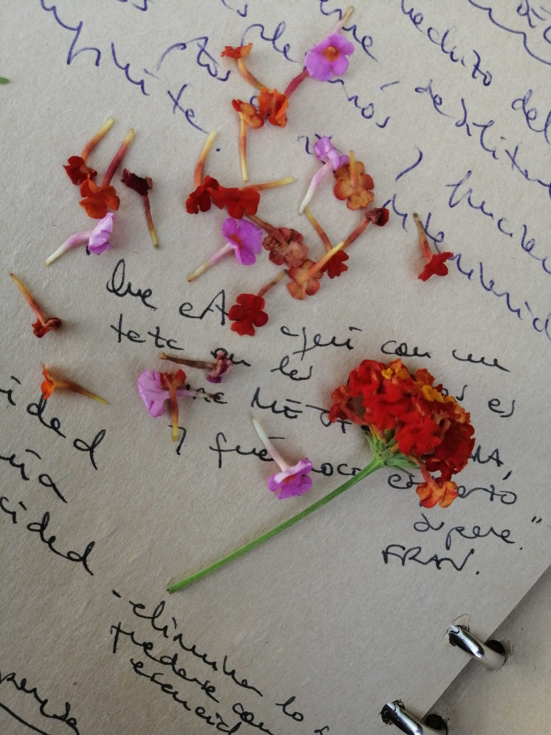 mtIBY0VeoXZKNxgvYLGbq-transformed