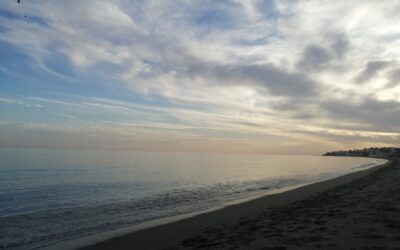 Mi delgada línea, II