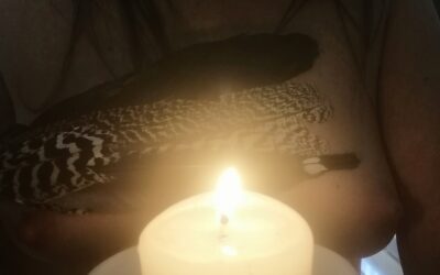 Intensidad, caducaste